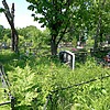 Андриевская Наталья Александровна