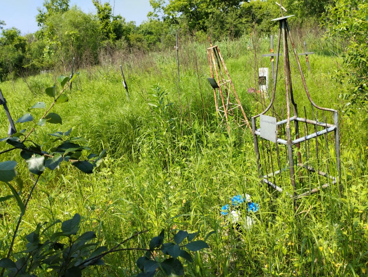 Смолина Л М