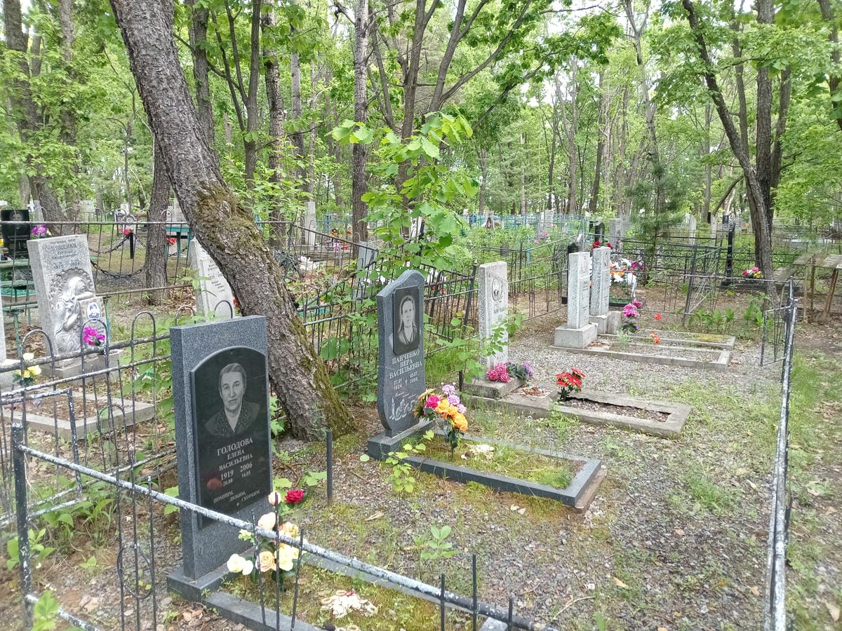 Голодова Елена Васильевна