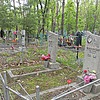 Пономаренко Анастасия Петровна