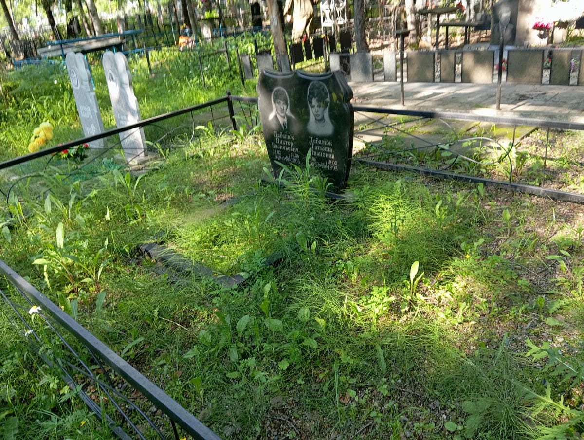 b1d05d3f-5522-40a9-9847-2aa059e459e3 Дебалюк Татьяна Ивановна