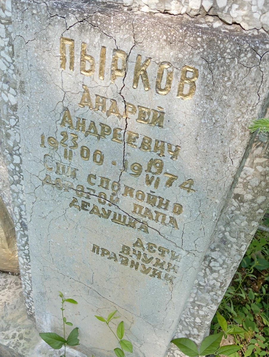b21e0b06-8723-488c-9d34-f1ab11de3177 Пырков Андрей Андреевич