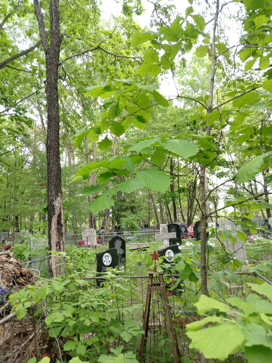 b238679e-5888-4597-831e-e33d6c3682eb Неизвестно Неизвестно Неизвестно