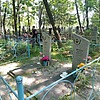 Манько Мария Андреевна
