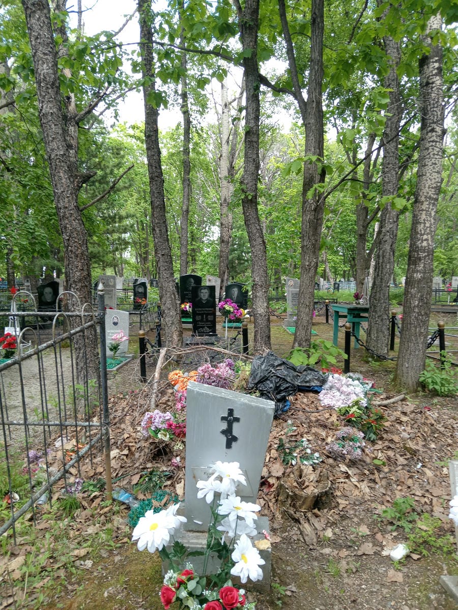 b37a40e9-e349-4798-b4c4-260029e31a92 Кушнаренко Василий Николаевич