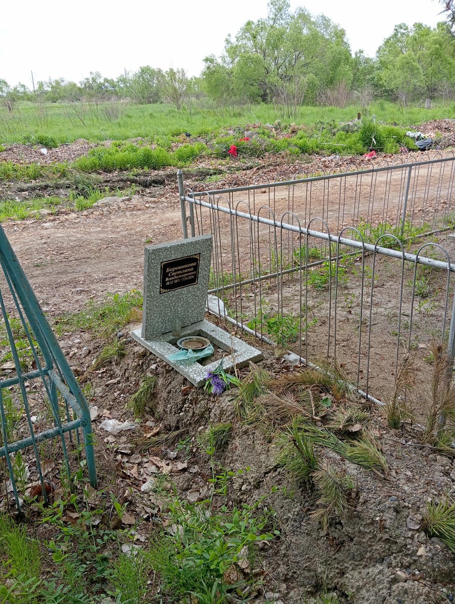 b3dd0865-147c-477f-870b-8f0f6e766afb Боровикова Светлана Владимировна