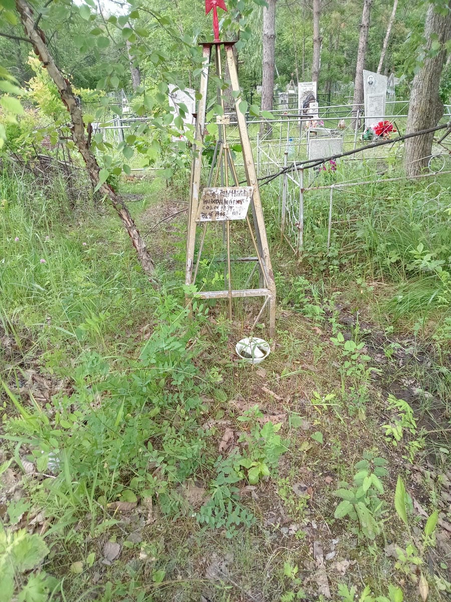 b3f8d9ba-8861-49ad-8c78-d570f897998e Толмачев Николай Неизвестно