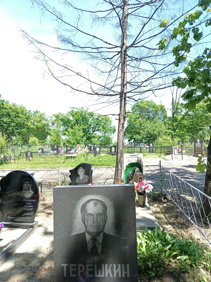 b4ce249f-bb22-4ad2-9a10-877e73e9de82 Терешкин Виталий Алексеевич