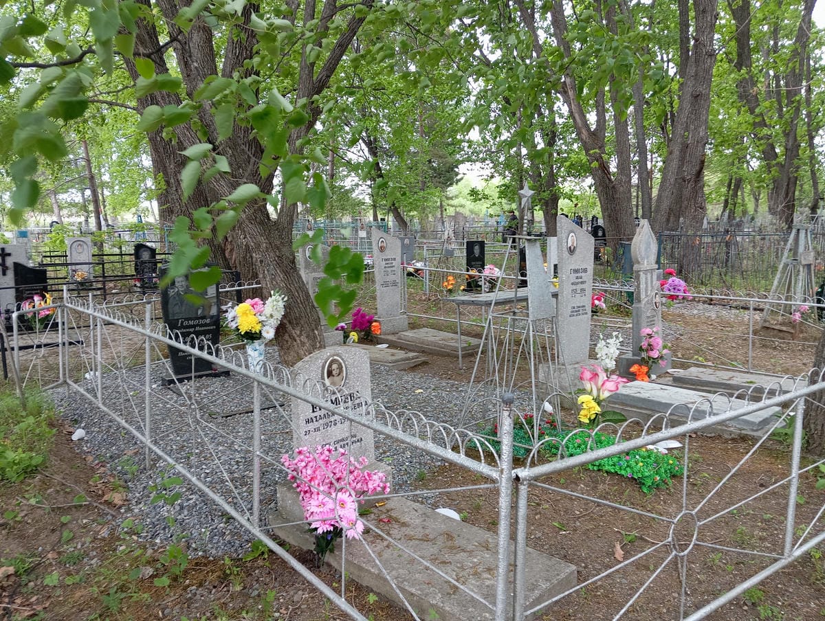 b4f08429-0567-4c10-9362-05ce3e0e771a Гомозов Владимир Иванович