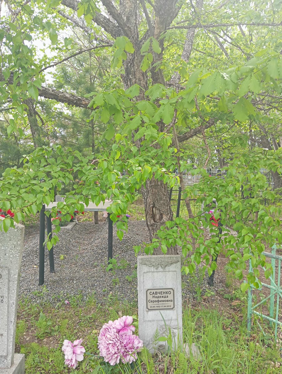 b5222146-2a84-4a7a-9fea-4069c87ec53b Савченко Надежда Серафимовна