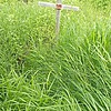 b57a46d2-e0ff-481f-babf-0da6a07527dd Неизвестно Неизвестно Неизвестно
