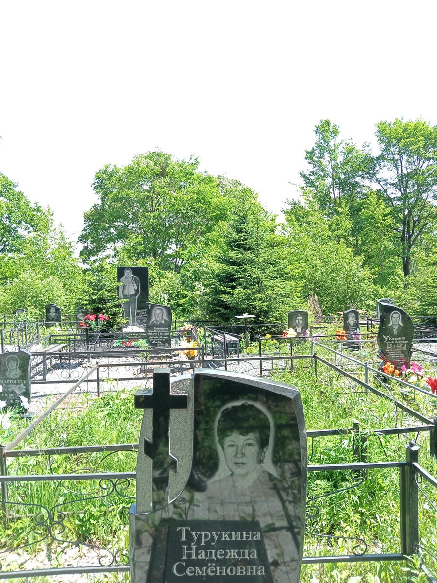 b5e4d70f-b14a-41fe-86ad-04b14c13d153 Турукина Надежда Семёновна