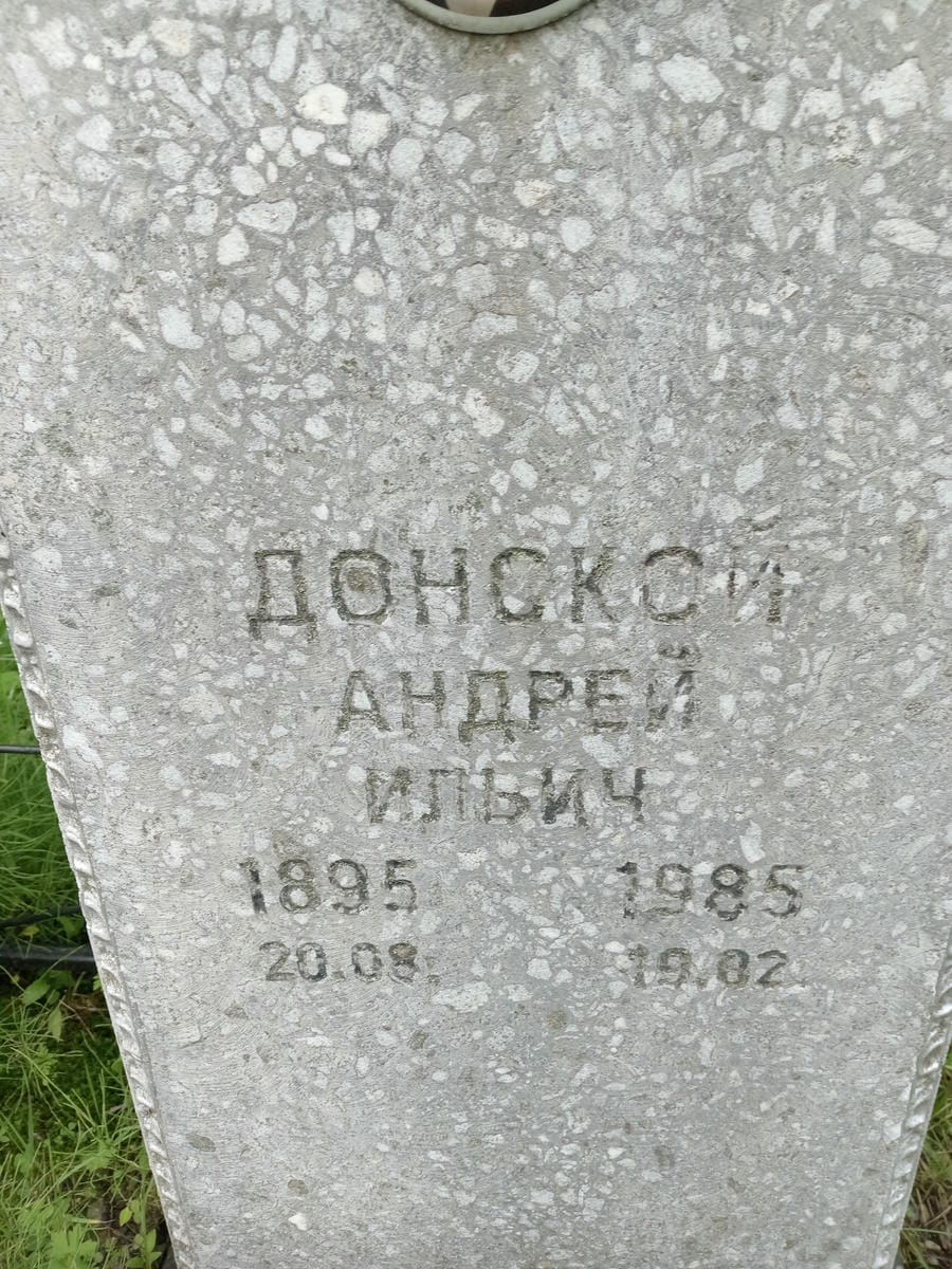 Донской Андрей Ильич