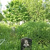 Куликова Виктория Владимировна