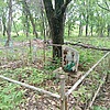 Крутицкая Алевтина Алексеевна