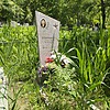 b6ea59cc-65ca-4f75-be7f-6fa049b00a9e Голованов Алексей Егорович