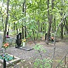 Старовит Григорий Яковлевич