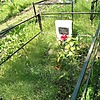 Полозок Ирина Владимировна