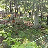 Рейнгольд Сергей Марленович
