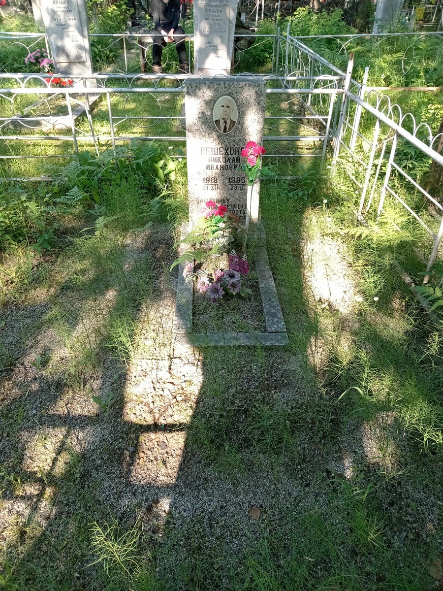 b88abb9a-30b2-4b2d-9322-cac8c6b4096a Пешехонов Николай Иванович