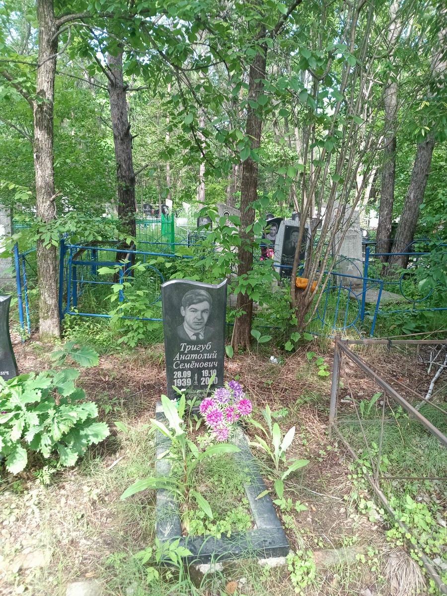 b8b05ef5-39e9-4764-afad-192f0c7da2b9 Тригуб Анатолий Семенович