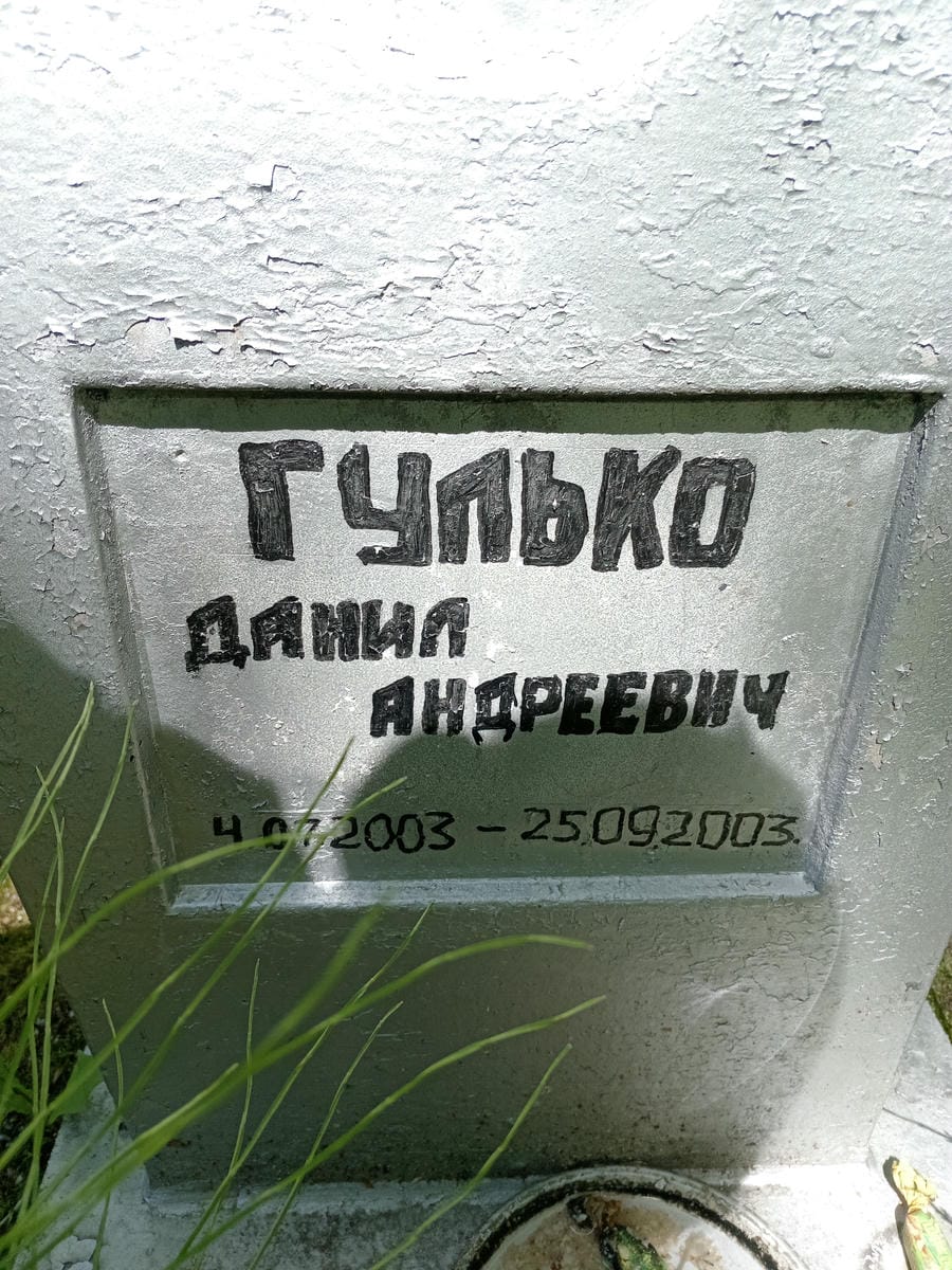 b8e3f8c0-9fad-440b-9cda-3a15f65682d6 Гулько Данил Андреевич
