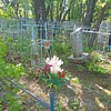 Тимофеева Алла Михайловна