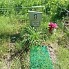 Карымова Тамара Деамидовна