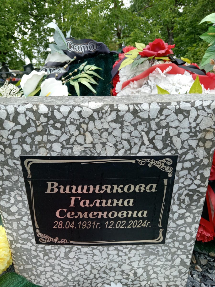 b9e3366a-5530-4e33-85b7-24d09900fc90 Вишнякова Галина Семеновна