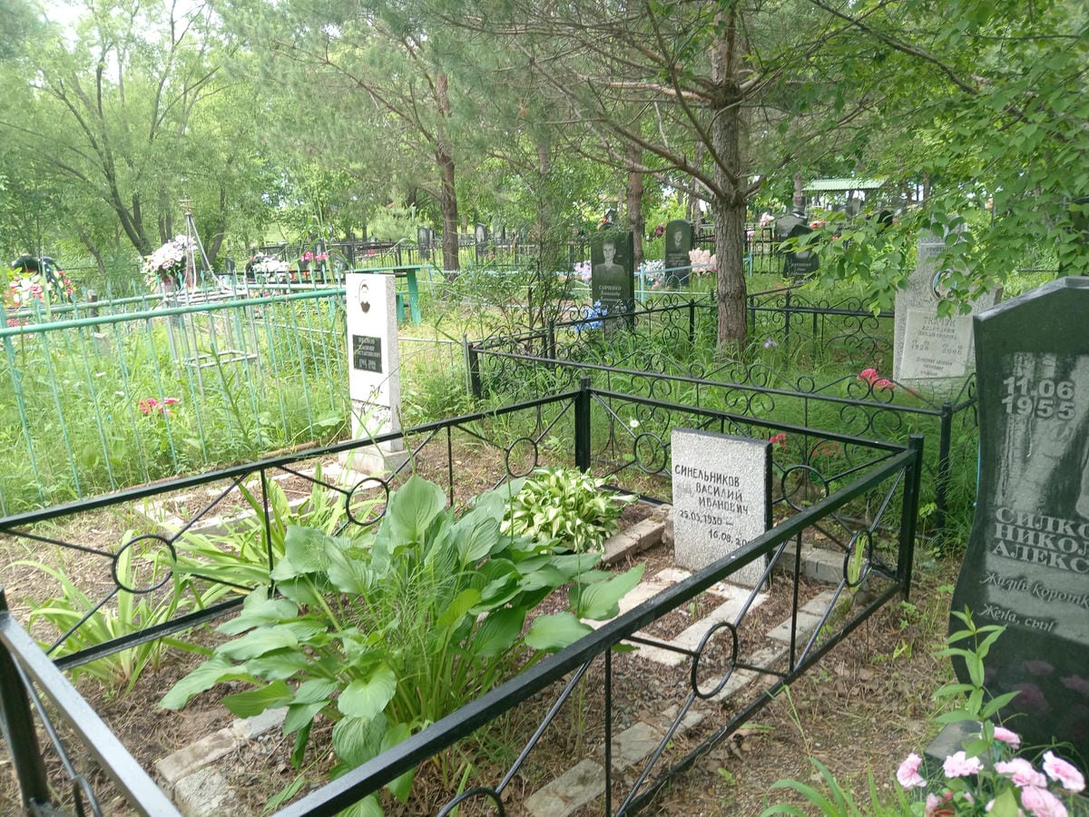 Синельников Василий Иванович