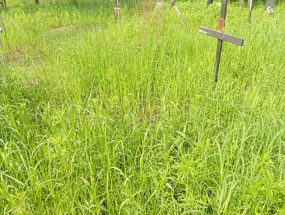 Неизвестно Неизвестно Неизвестно