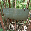 Доманычева Анастасия Дмитриевна