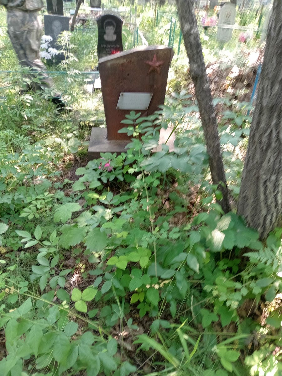 Куцепаленко Виталий Владимирович