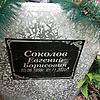 Соколов Евгений Борисович