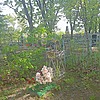 Тимофеева Алла Михайловна