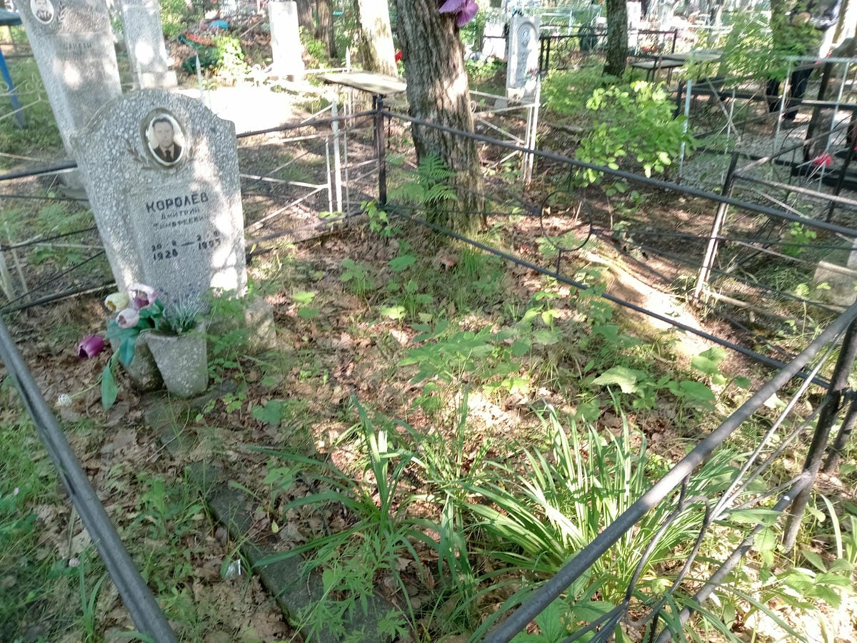 Королев Дмитрий Тимофеевич