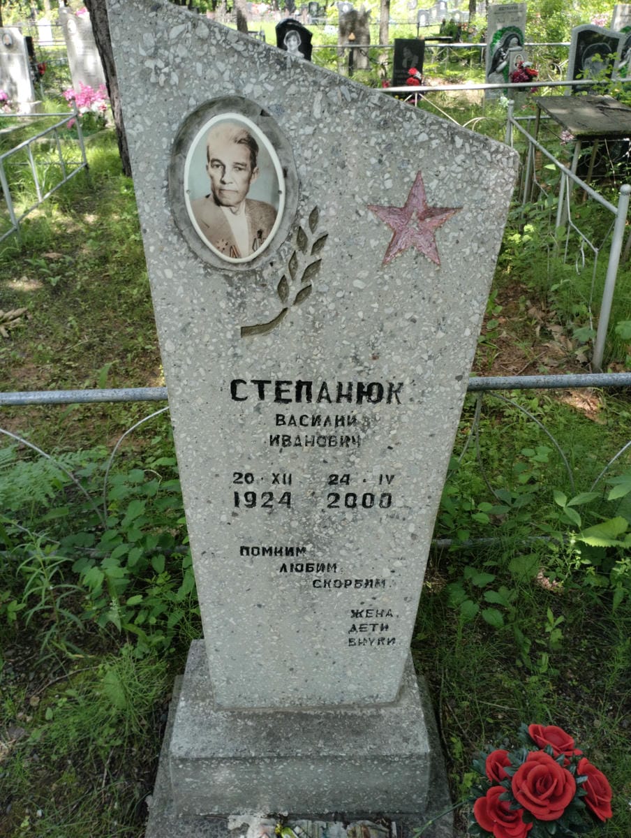 bba9bf28-d4a7-4f9a-9485-157727c77df7 Степанюк Василий Иванович