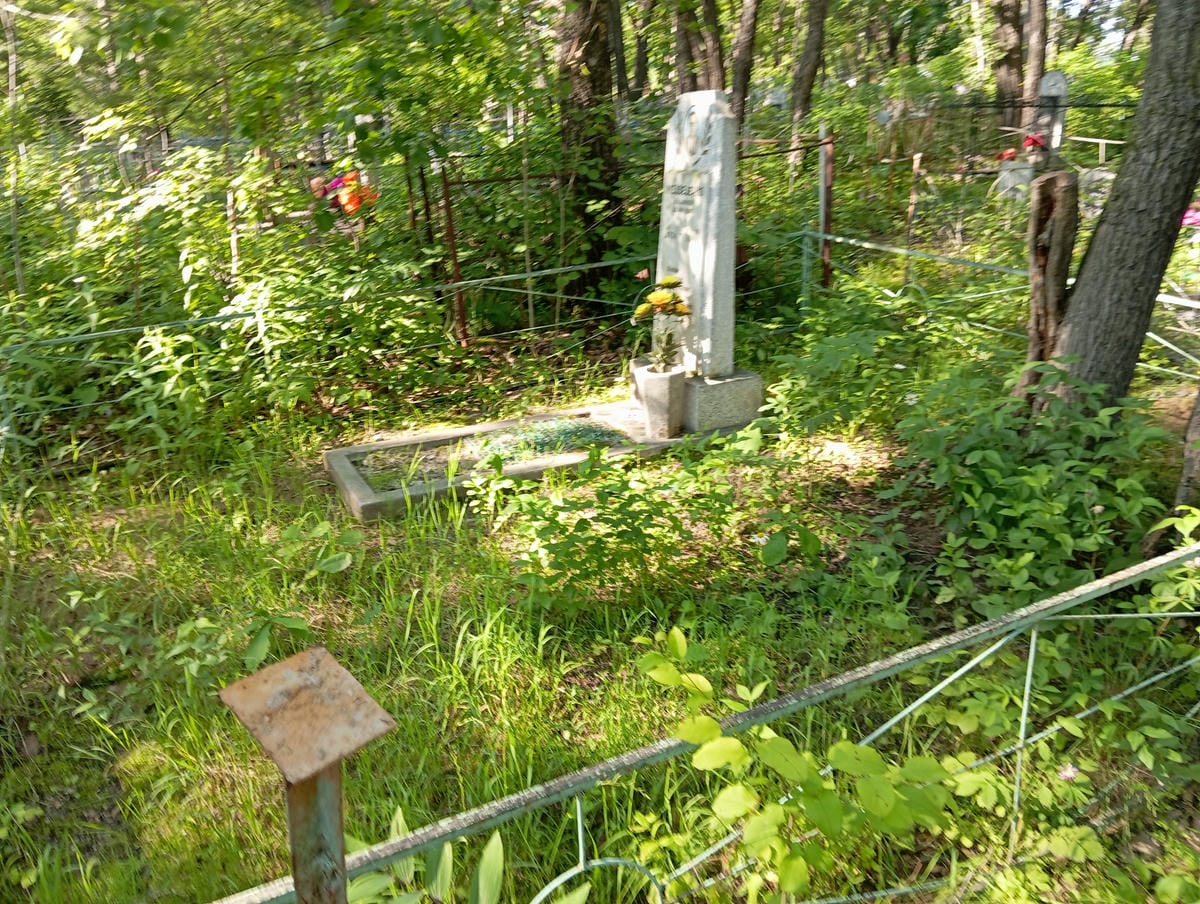 bbd67af2-726f-4a4d-9eeb-c5031a1c6bc5 Медведенко Владимир Денисович