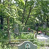 Власюк Юрий Алексеевич