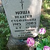 Моша Пелагея Стефановна