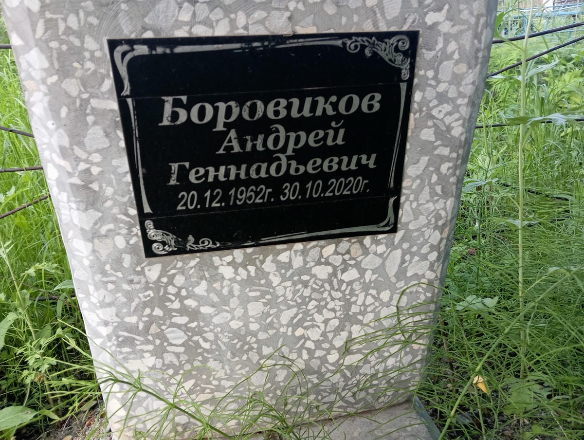 Боровиков Андрей Геннадьевич