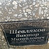 Шевляков Виктор Михайлович