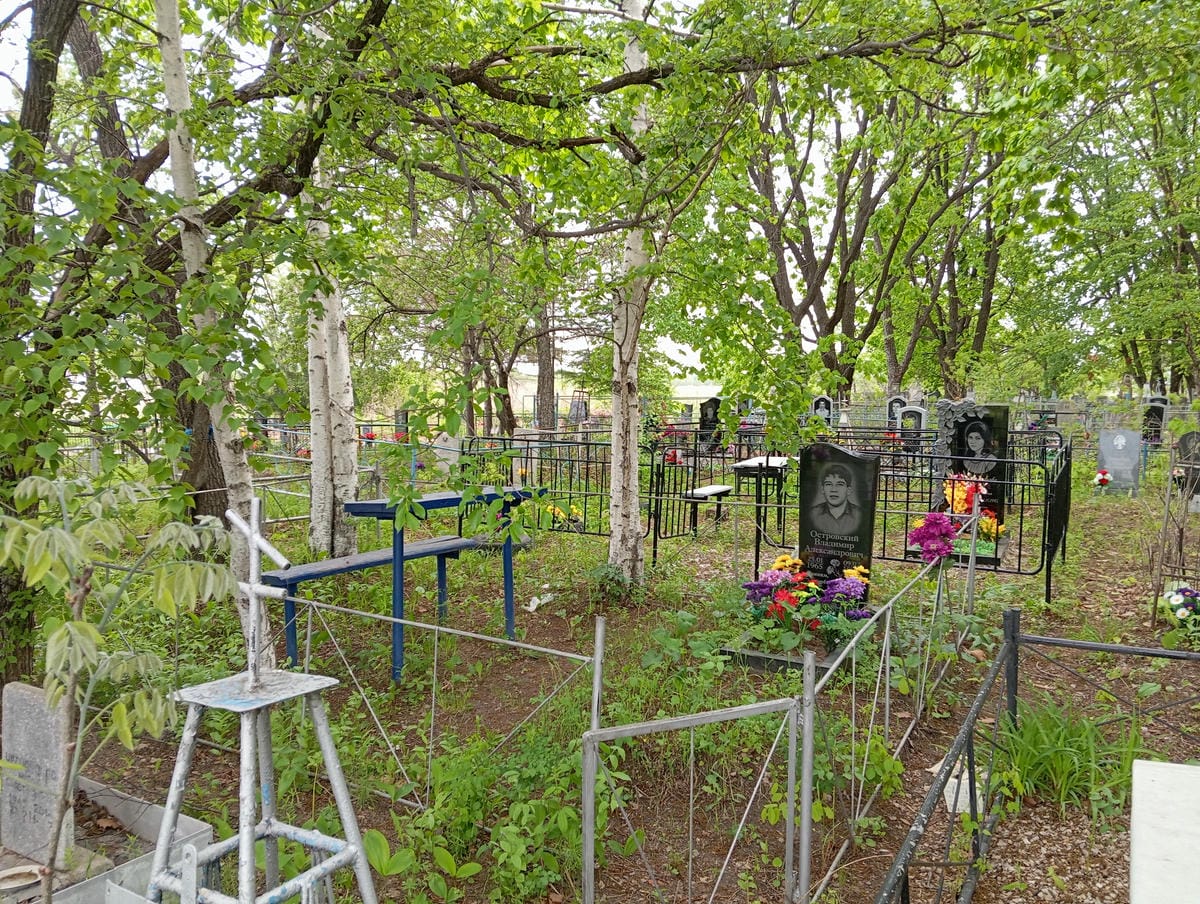Островский Владимир Александрович