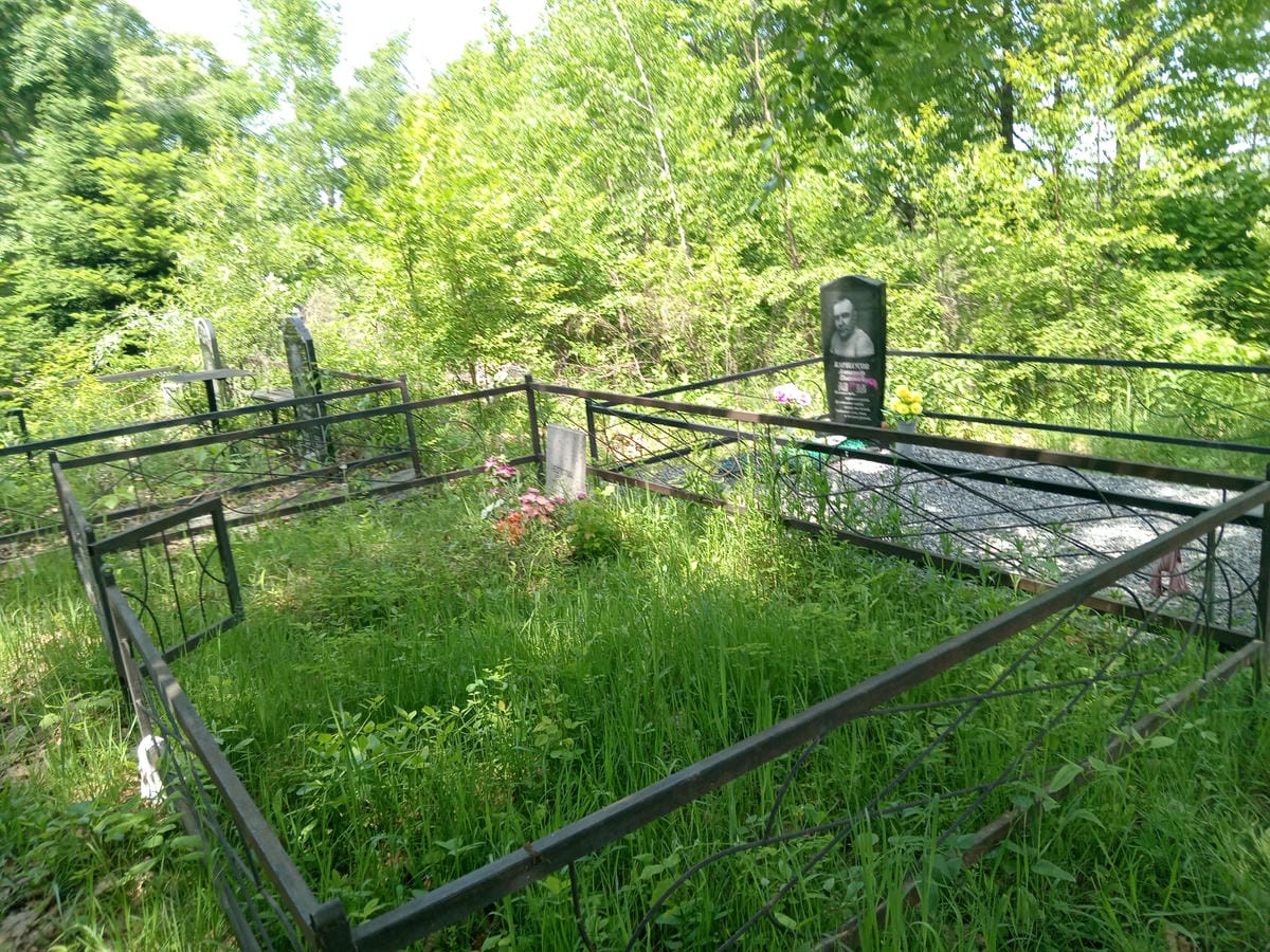 Нестерук Алена Сергеевна