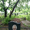 Анисимов Николай Ильич