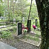Дзюба Вера Николаевна
