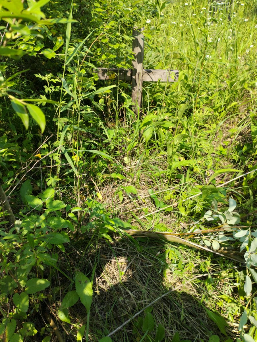 Неизвестно Неизвестно Неизвестно