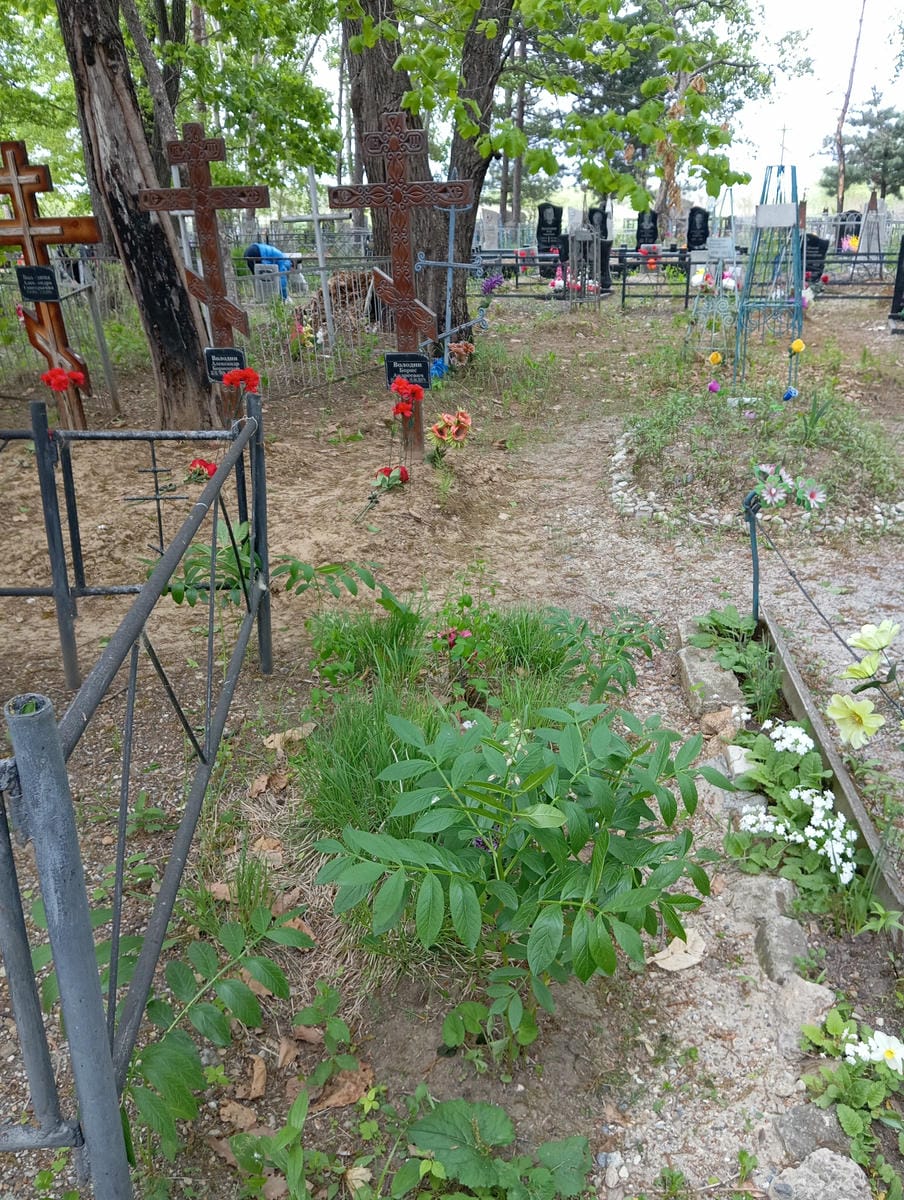 bf08f597-9fbb-4dfe-960f-c73c91b27280 Неизвестно Неизвестно Неизвестно