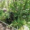 Ветрик Александр Анатольевич