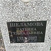 Шеламова Татьяна Геннадьевна